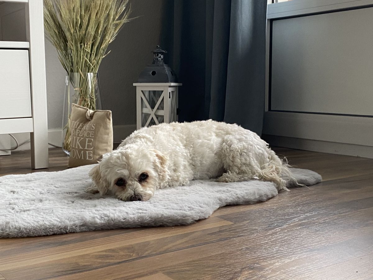 Stimmige Konzepte für den Handel – online wie stationär