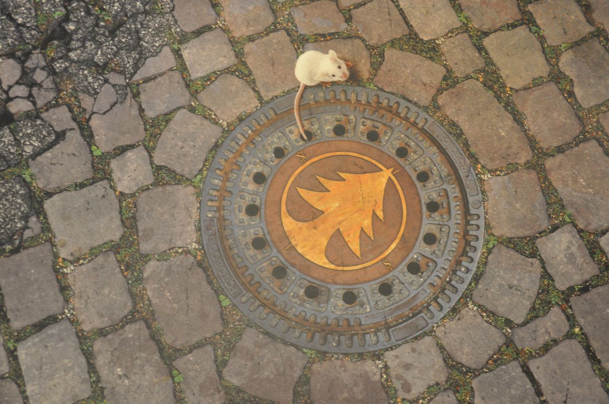 Der Boden als Kommunikationsmittel