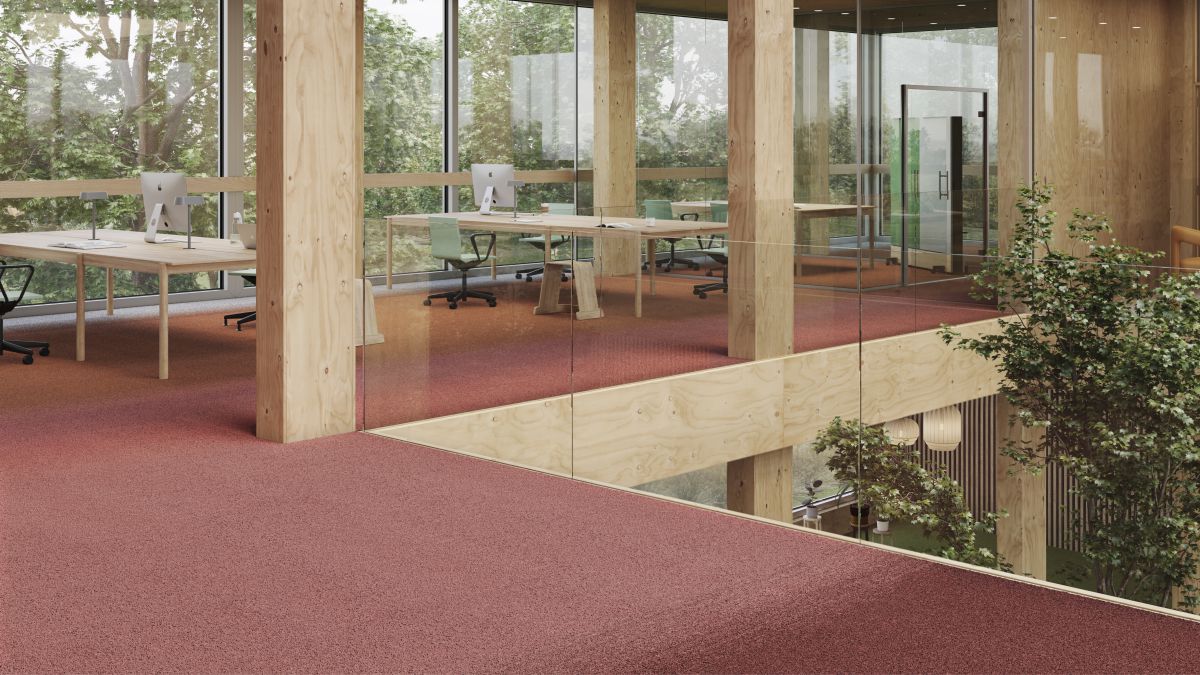 Reise durch die Welt der Farbe