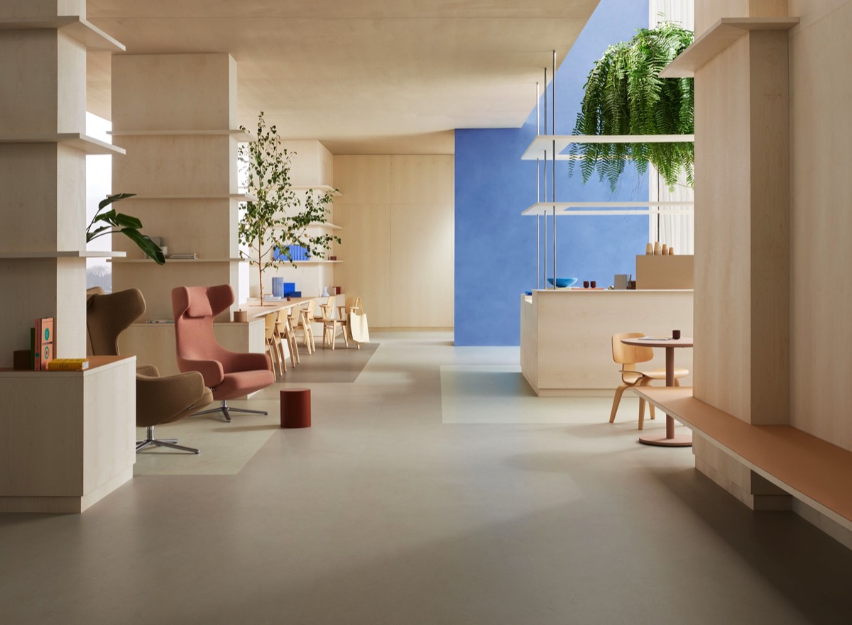 "Linoleum ist der nachhaltigste elastische Bodenbelag"