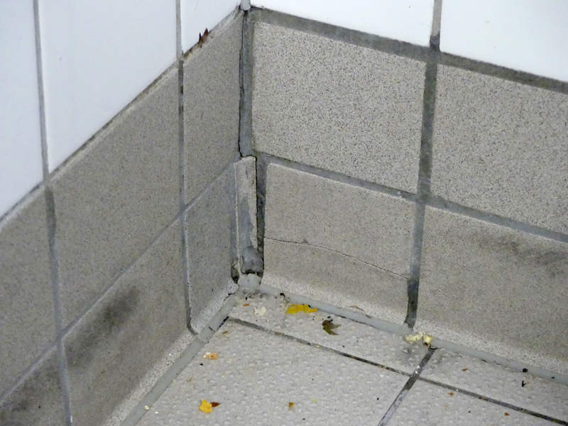 Kompletter Fußbodenaufbau durch Abwasser hinterlaufen