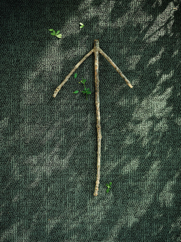 Kreislauffähige Teppichboden-Vielfalt