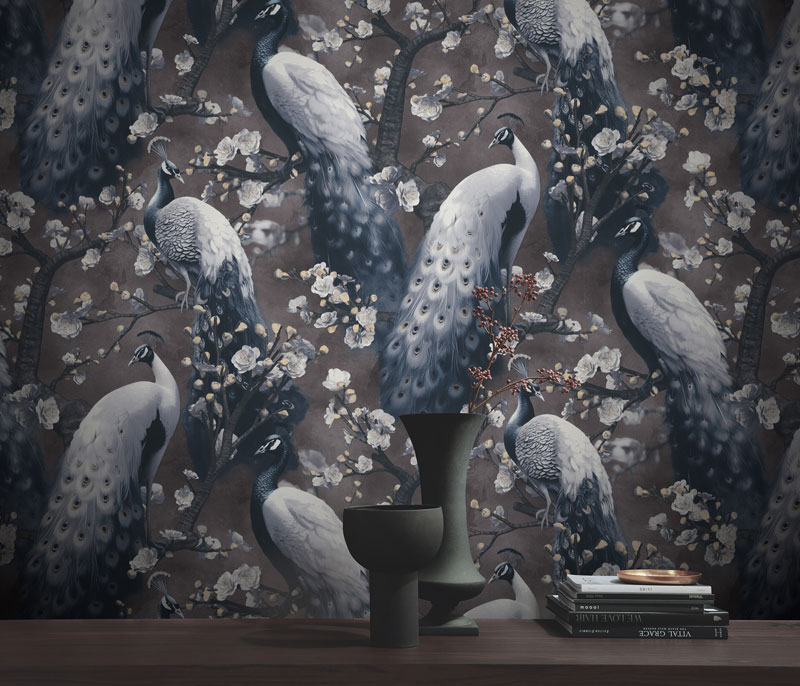 Exzentrische Lichtspiele 