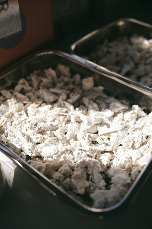 Neues Innovationsprojekt für Faser-zu-Faser-Recycling