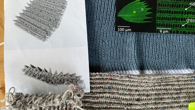 Heimtextil fördert kreative Nachwuchstalente 