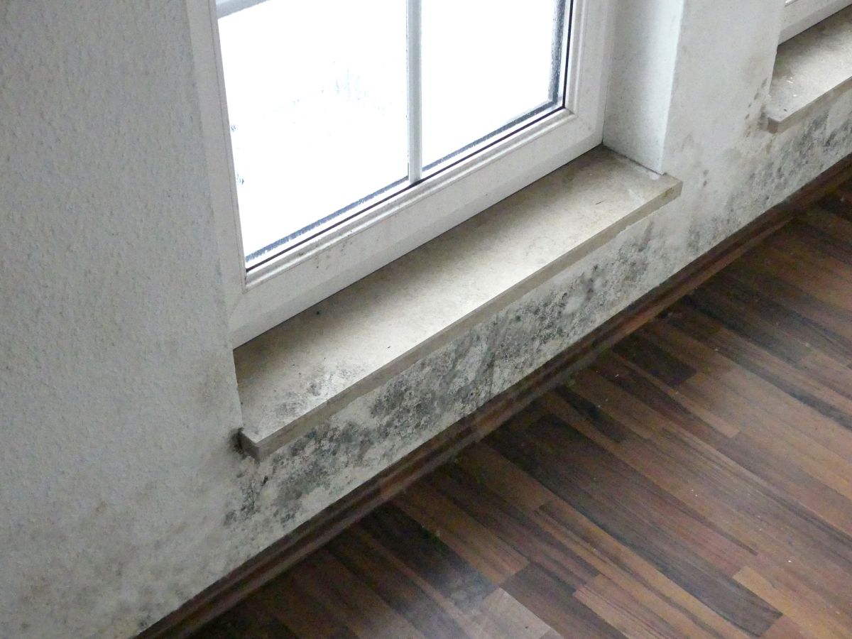 Fußbodenkonstruktion stand vollständig im Wasser