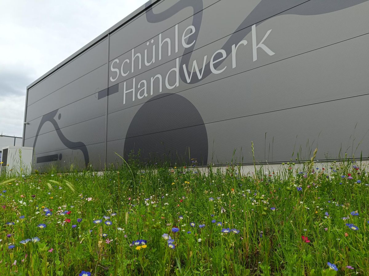 Auf die Zukunft gebaut