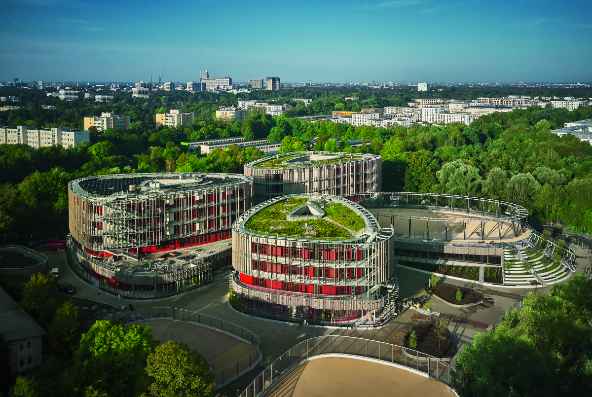 Nachhaltige Linoleumbeläge für Gymnasium