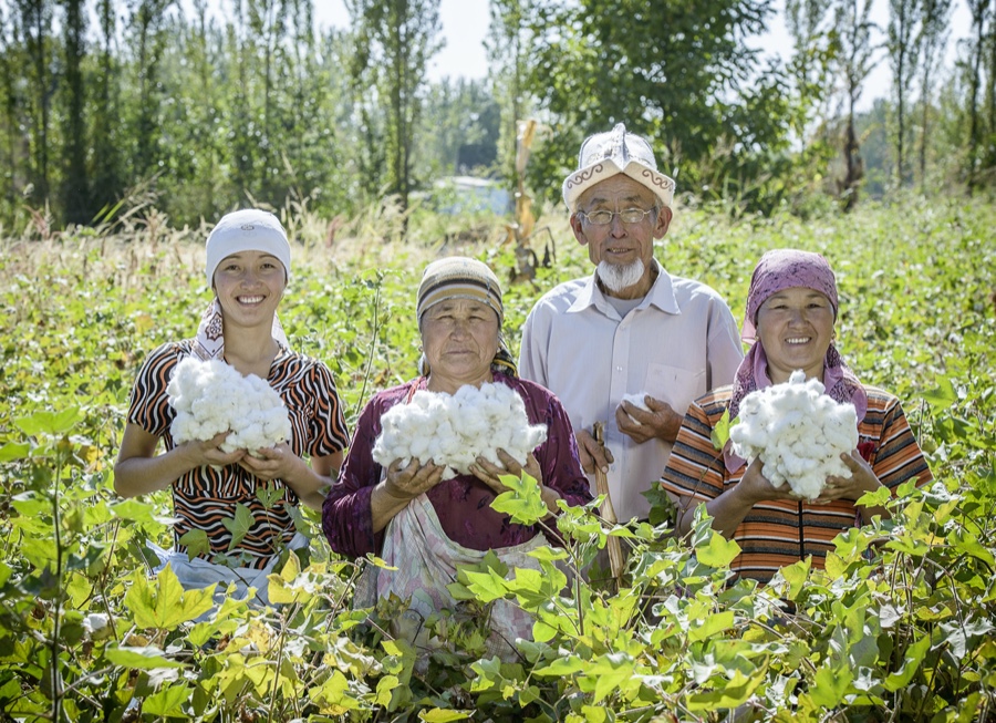 Cotonea führt Nachhaltigkeitsranking an